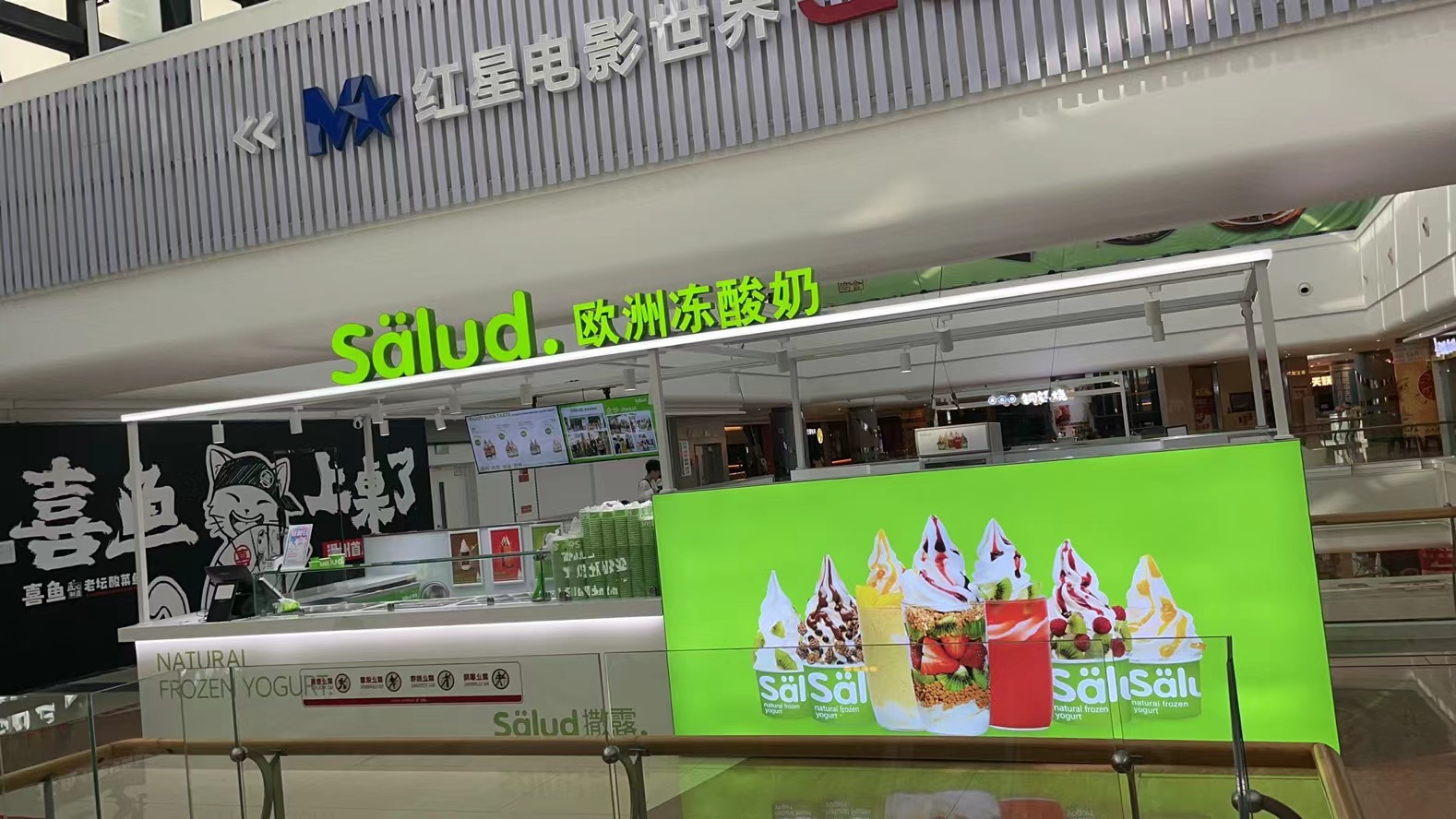 salud撒露,欧洲冻酸奶,冻酸奶加盟,冻酸奶加盟费,酸奶冰淇淋加盟连锁店,酸奶冰激凌店加盟,2018最有前景的全国连锁加盟店,2018年加盟什么店最赚钱