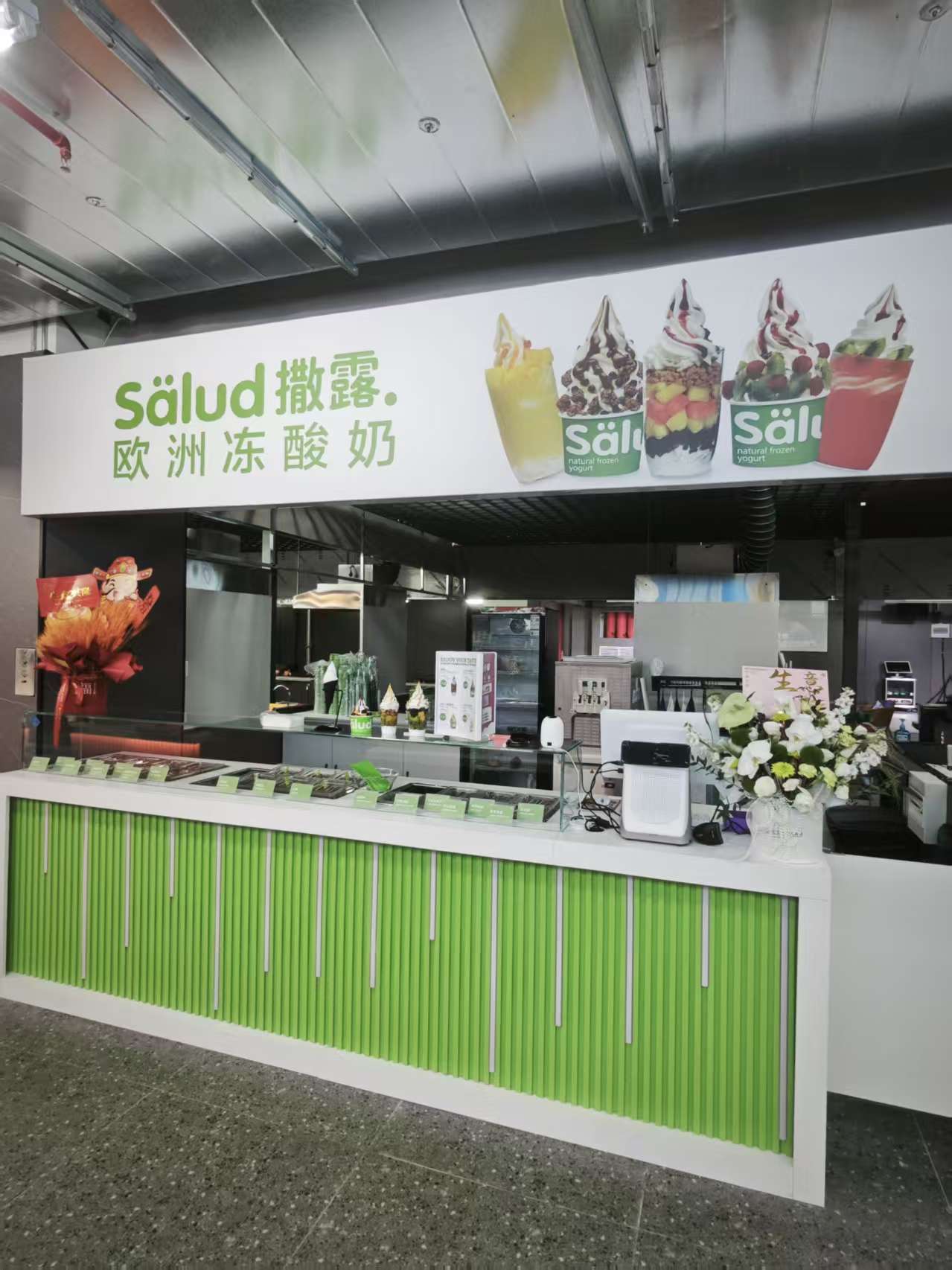 salud撒露,欧洲冻酸奶,冻酸奶加盟,冻酸奶加盟费,酸奶冰淇淋加盟连锁店,酸奶冰激凌店加盟,2018最有前景的全国连锁加盟店,2018年加盟什么店最赚钱