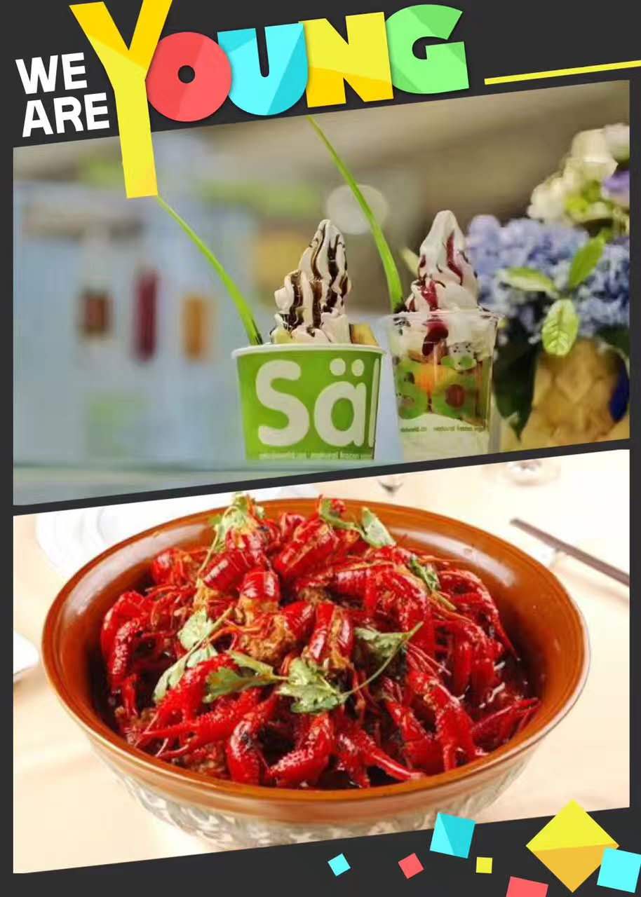 salud撒露,欧洲冻酸奶,冻酸奶加盟,冻酸奶加盟费,酸奶冰淇淋加盟连锁店,酸奶冰激凌店加盟,2018最有前景的全国连锁加盟店,2018年加盟什么店最赚钱