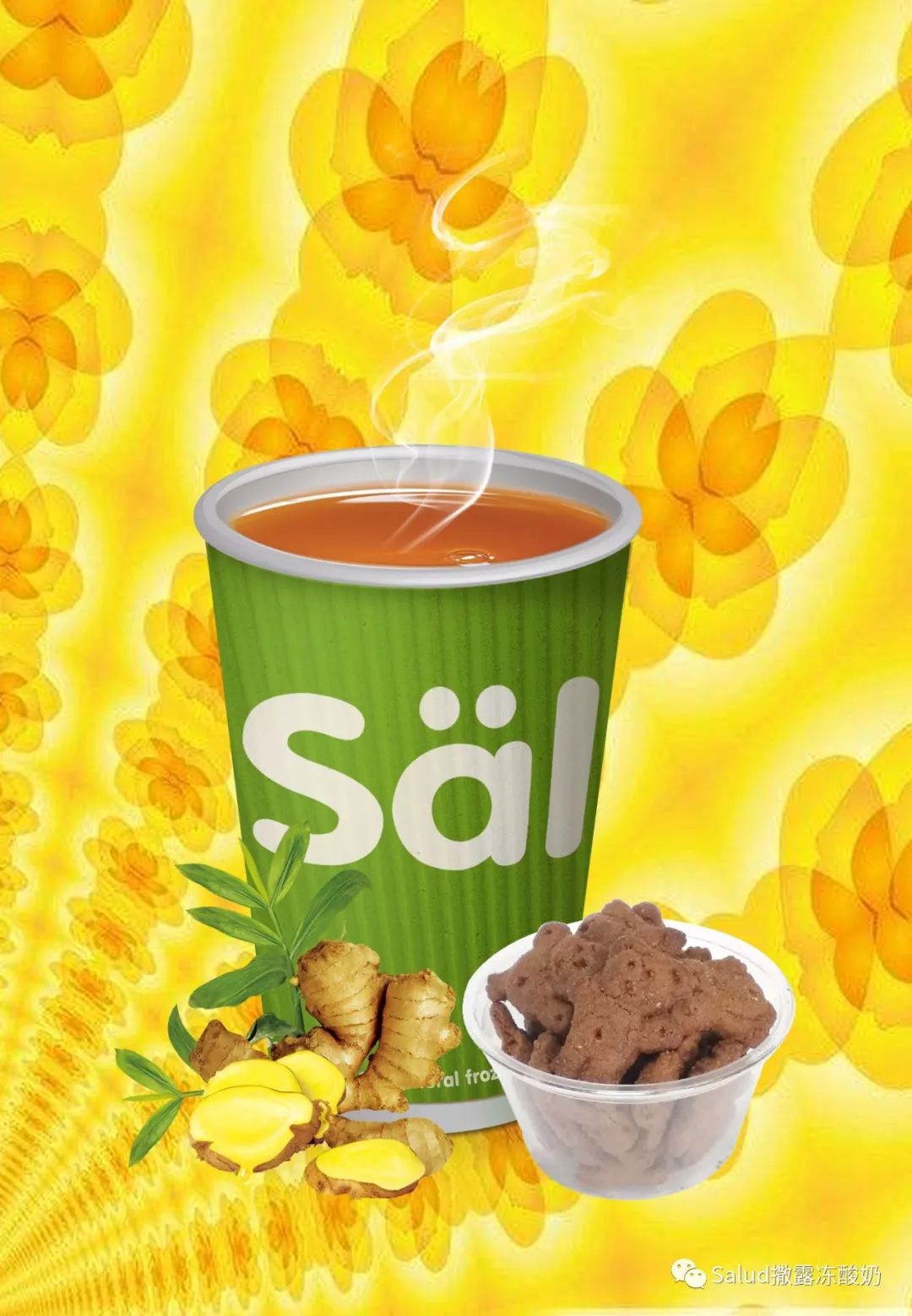 salud撒露加盟